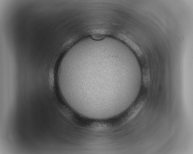 X0000101450207200807211319