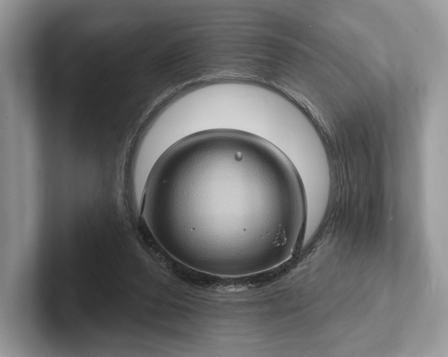 X0000101450208200807211319