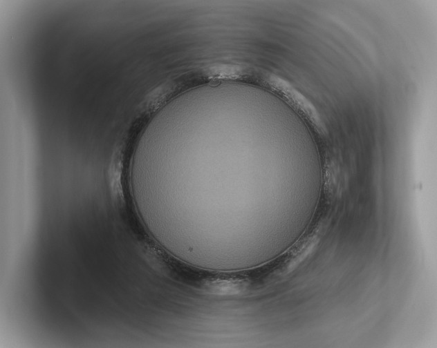 X0000101450209200807211319