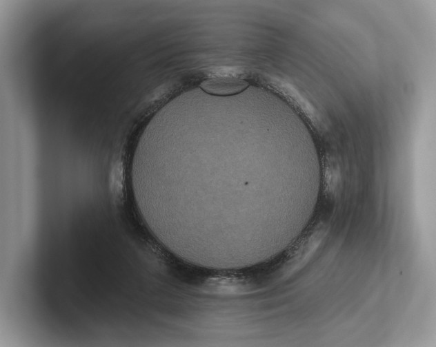 X0000101450211200807211319