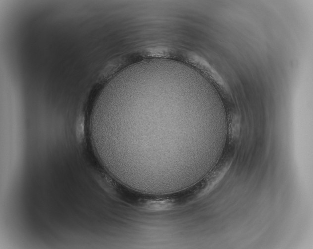 X0000101450213200807211319