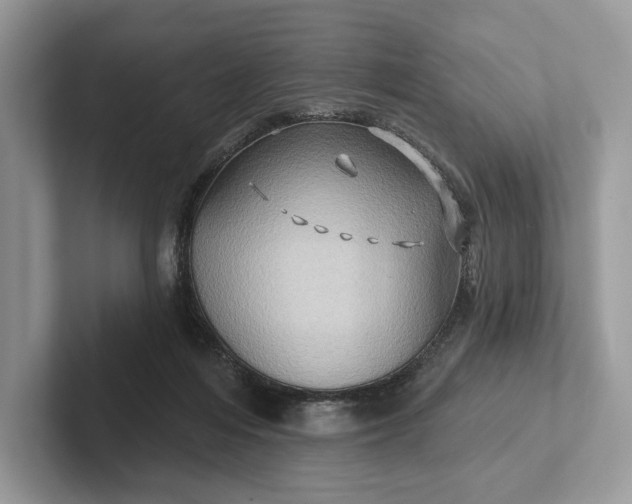 X0000101450216200807211319