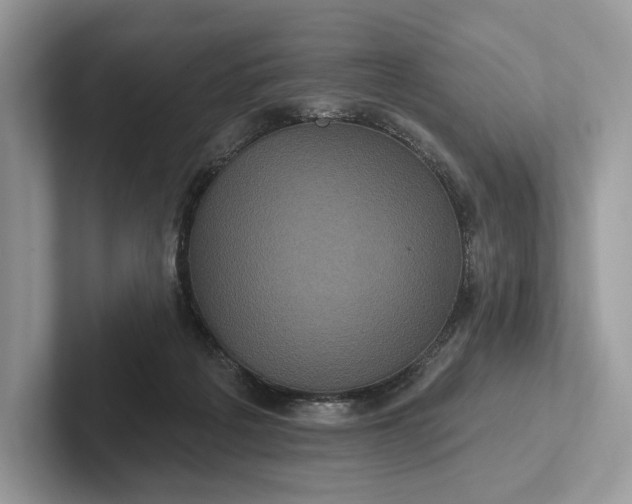 X0000101450217200807211319