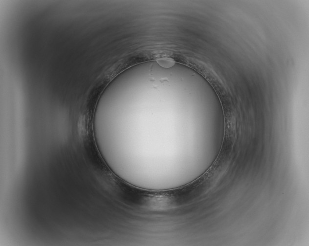 X0000101450218200807211319