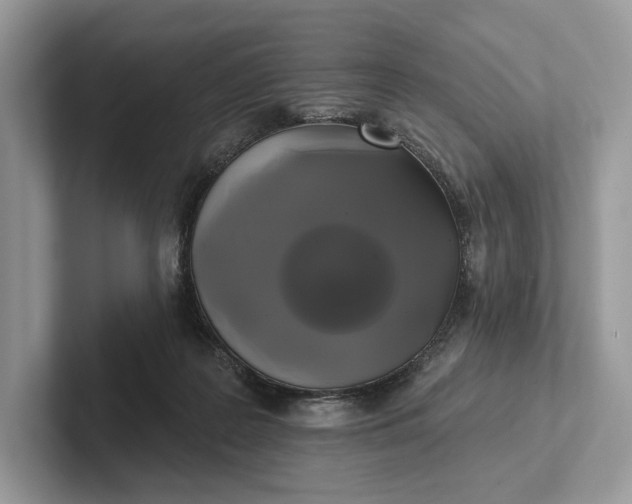 X0000101450219200807211319