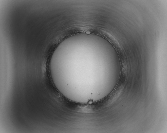 X0000101450221200807211319