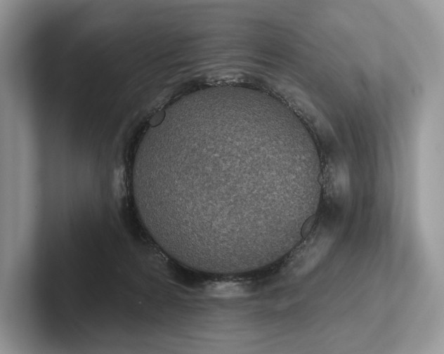 X0000101450224200807211319