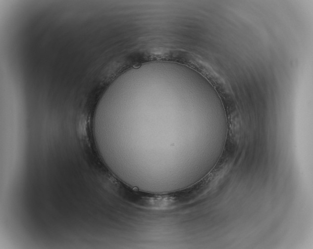 X0000101450225200807211319