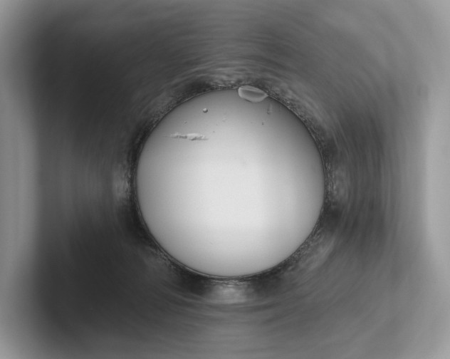 X0000101450226200807211319