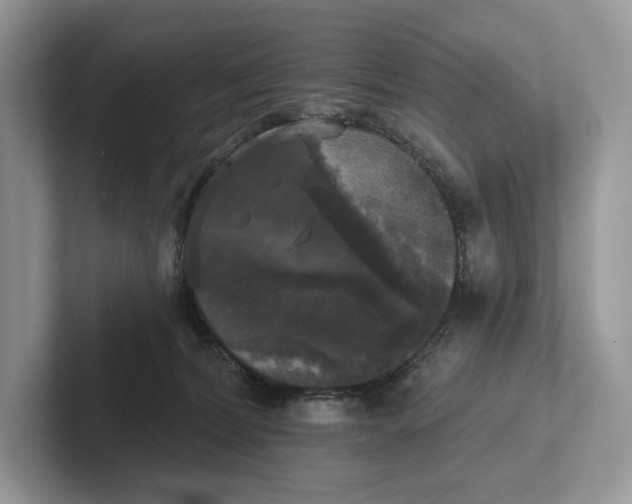 X0000101450228200807211319