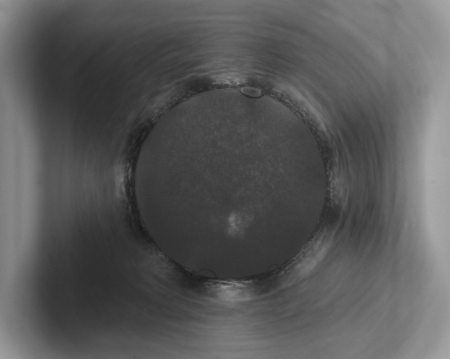 X0000101450229200807211319