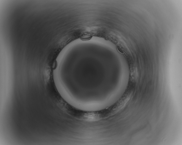 X0000101450231200807211319