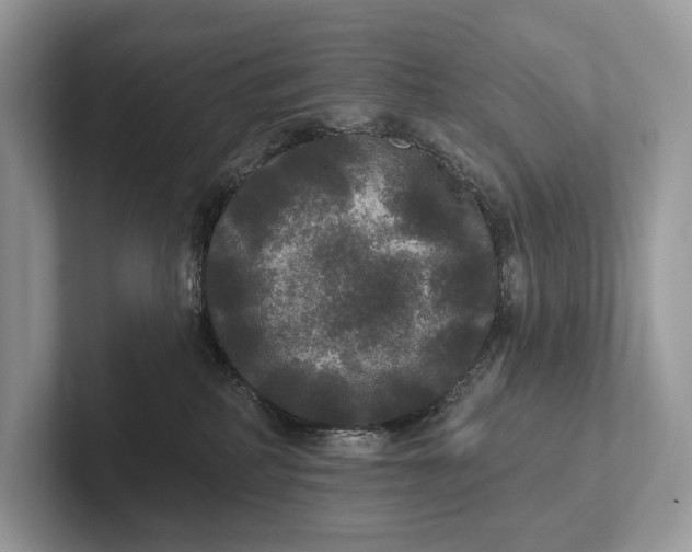 X0000101450234200807211319