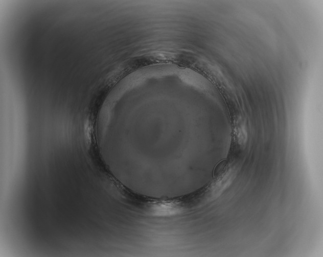 X0000101450235200807211319