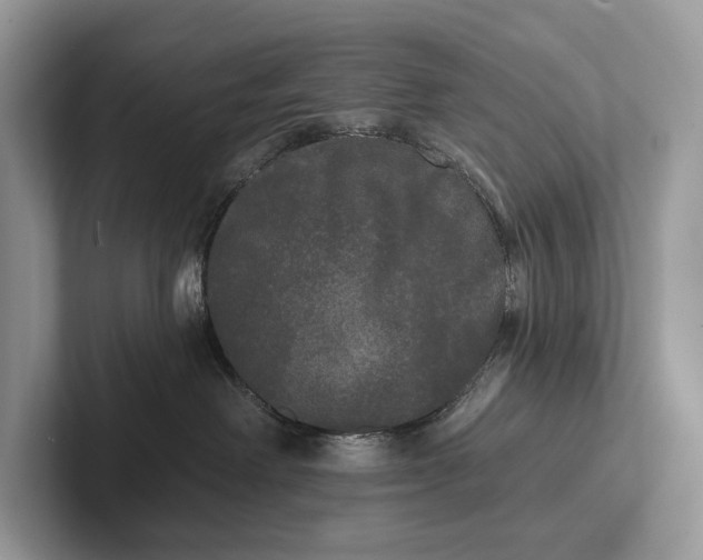 X0000101450238200807211319