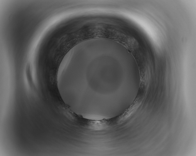 X0000101450239200807211319