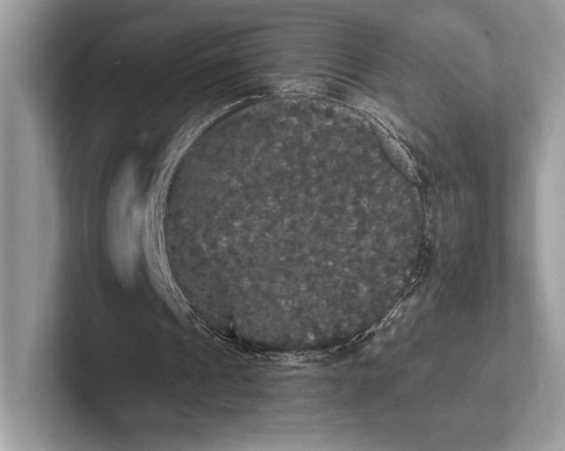 X0000101450241200807211318