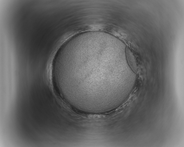 X0000101450242200807211318