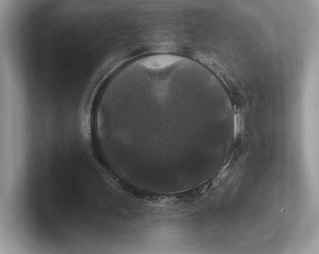 X0000101450243200807211318