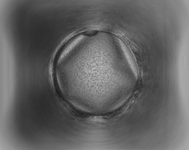 X0000101450244200807211318