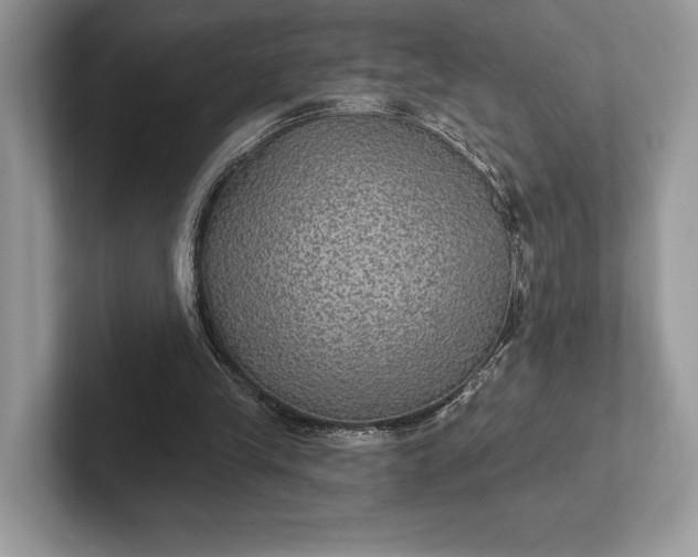 X0000101450245200807211318