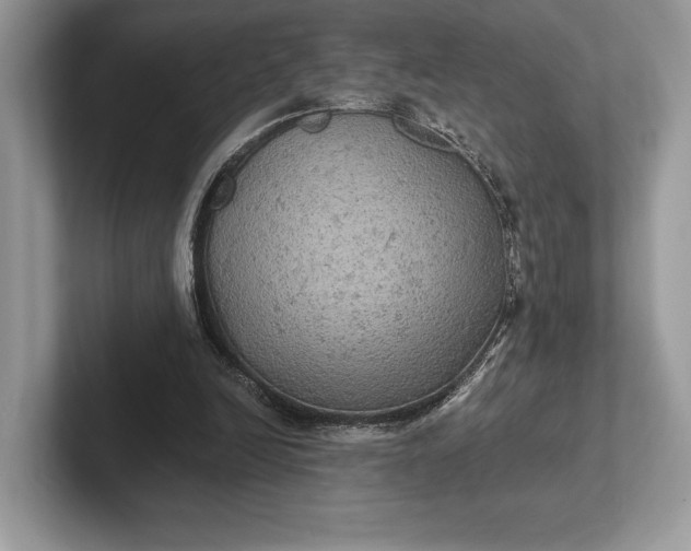 X0000101450246200807211318