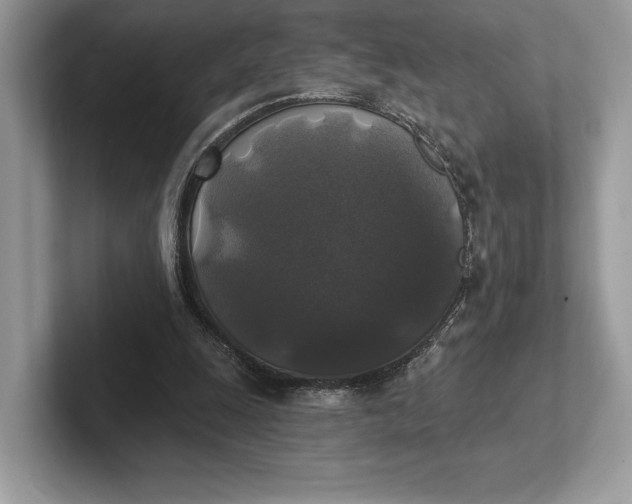 X0000101450247200807211318