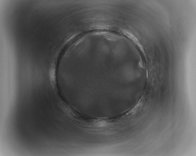 X0000101450249200807211318