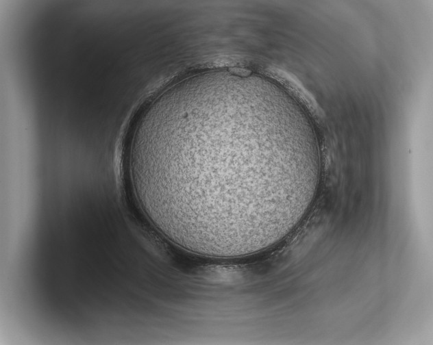 X0000101450250200807211318