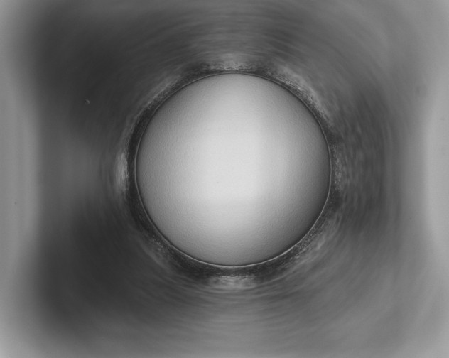 X0000101450251200807211318