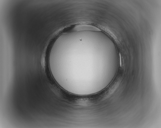 X0000101450252200807211318