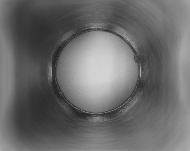 X0000101450253200807211318