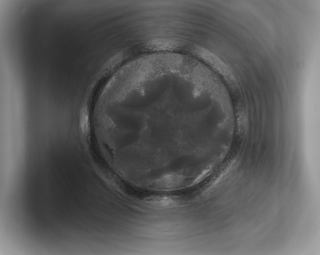 X0000101450254200807211318