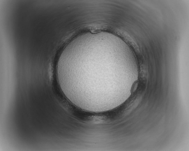 X0000101450255200807211318