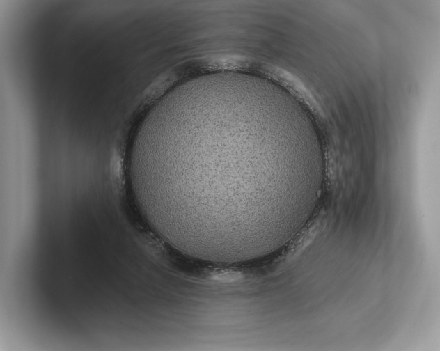 X0000101450258200807211319