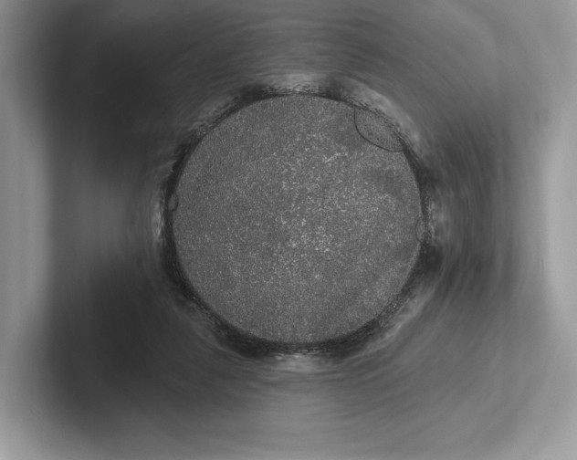 X0000101450259200807211319