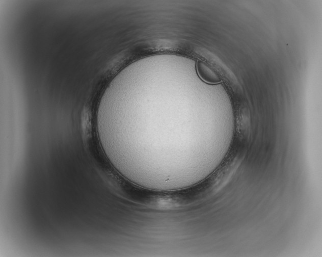 X0000101450264200807211319