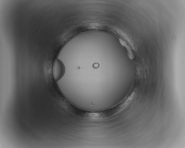 X0000101450265200807211319