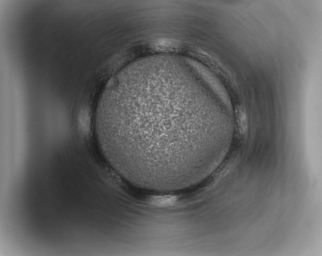 X0000101450266200807211319