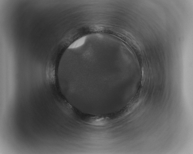 X0000101450267200807211319