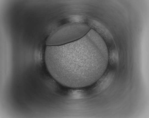 X0000101450268200807211319