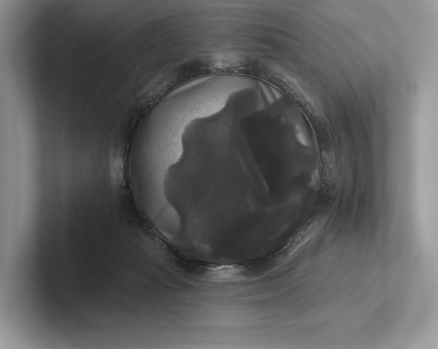 X0000101450269200807211319