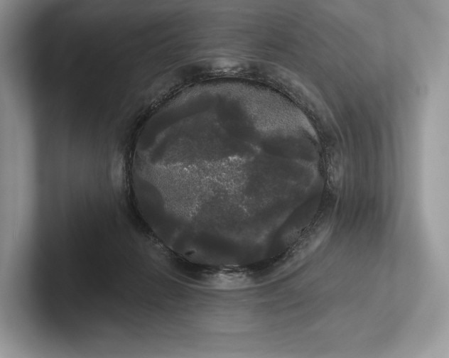 X0000101450270200807211319