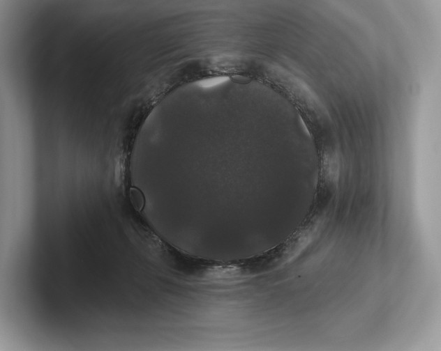 X0000101450271200807211319