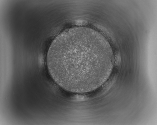 X0000101450272200807211319