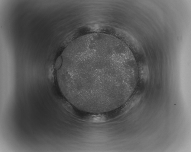 X0000101450275200807211319