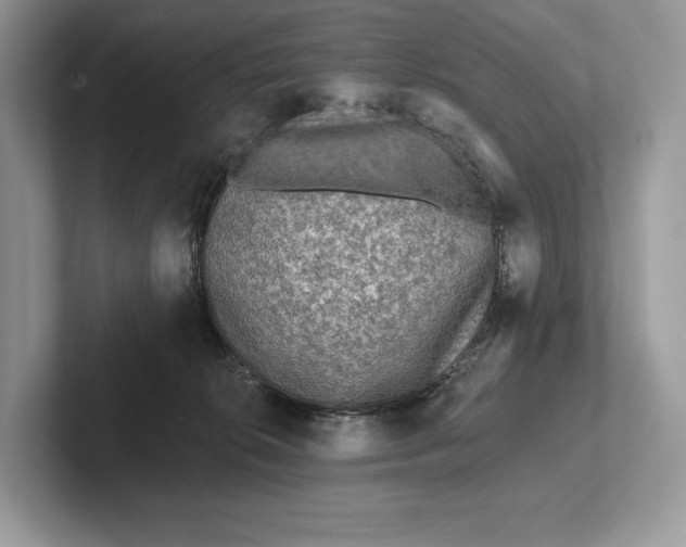 X0000101450276200807211319