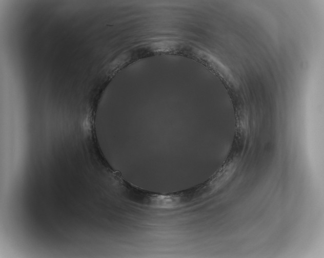 X0000101450277200807211319