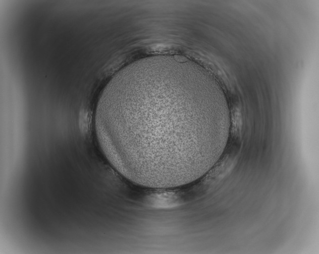 X0000101450278200807211319