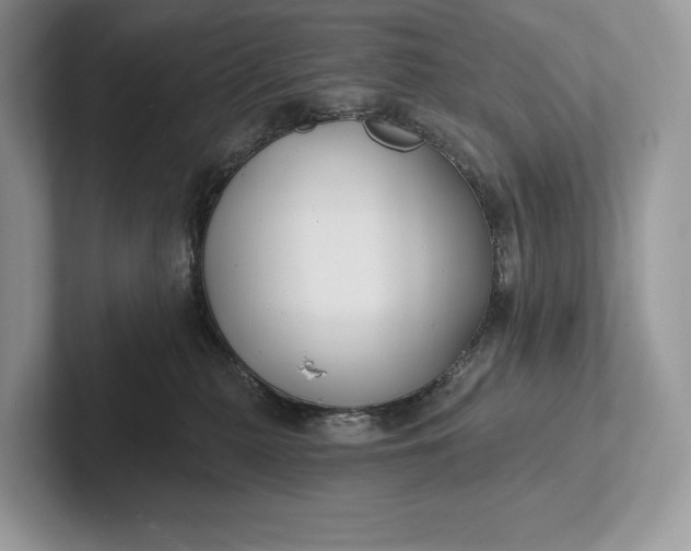 X0000101450279200807211319